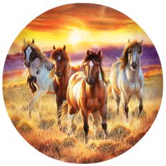 Running in the Sun - Puzzle 500 pieces XXL 